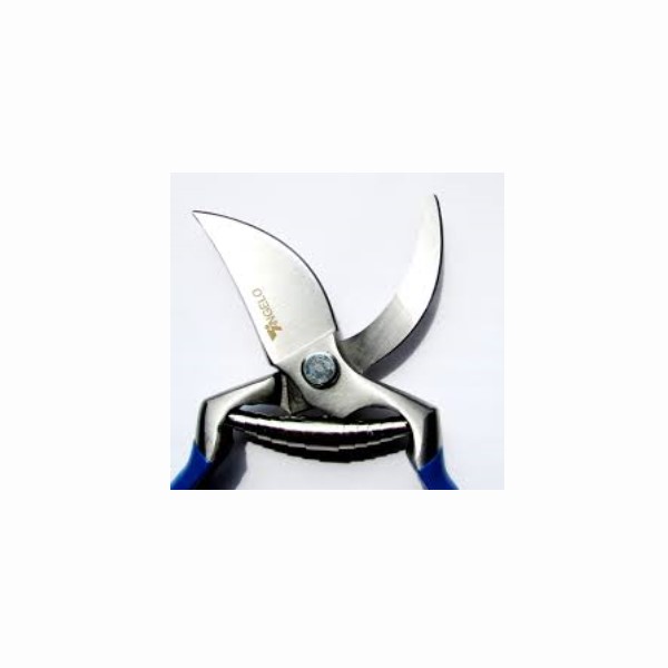 Lama forbice fruttetojpg