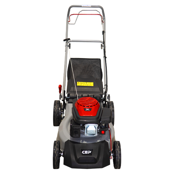 RASAERBA CEP piccolo2