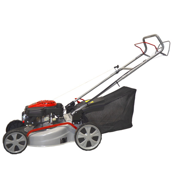 RASAERBA CEP piccolo3