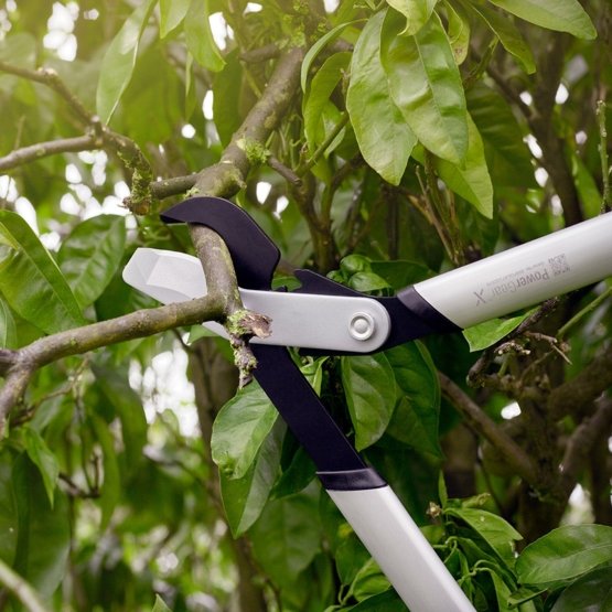 Immagine 1020187LX94