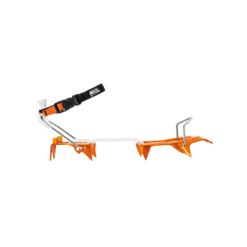 T01ALLFRamponiLeopardLLF-Imm1