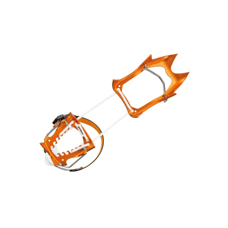 T01ALLFRamponiLeopardLLF-Imm2