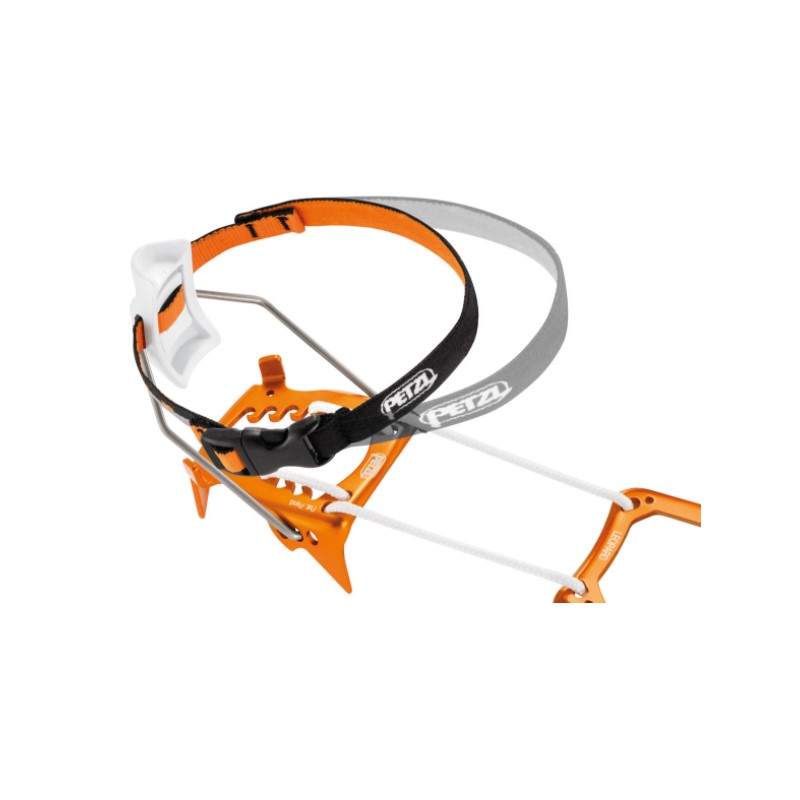 T01ALLFRamponiLeopardLLF-Imm4