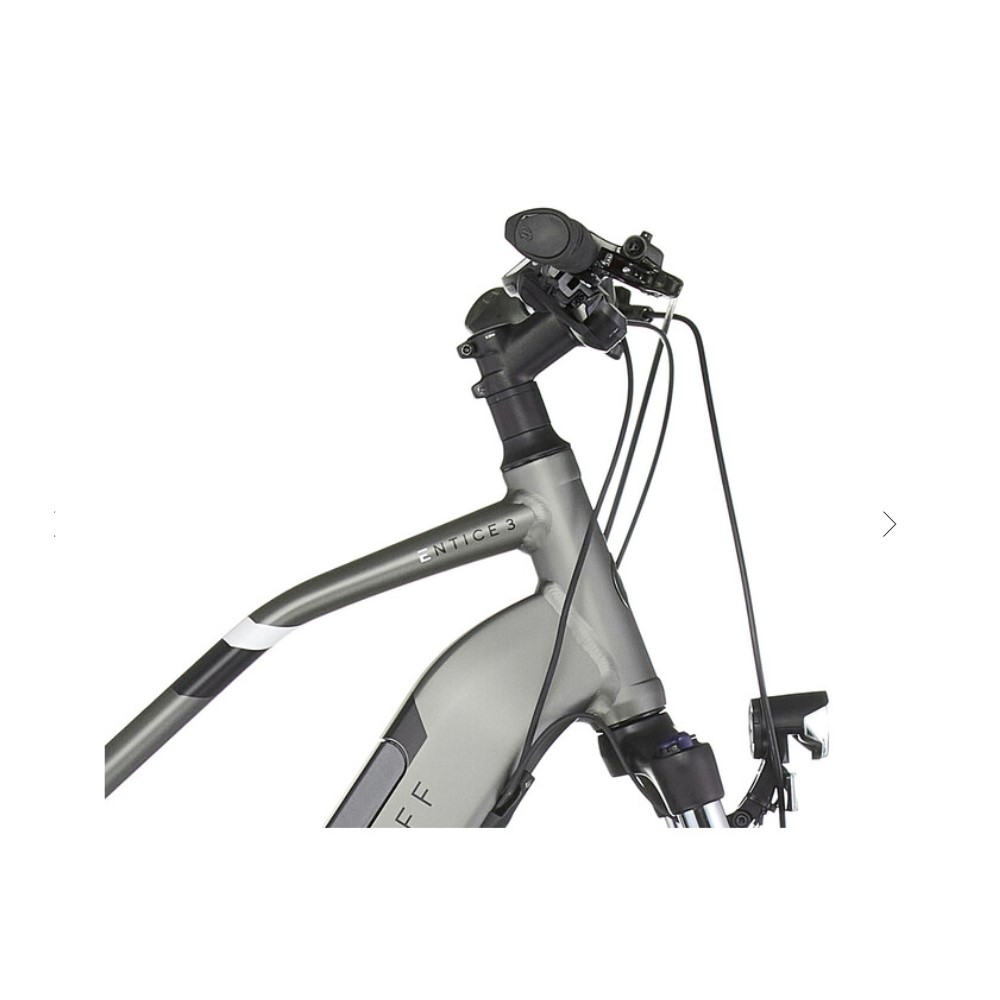 641527301 Entice Imm1