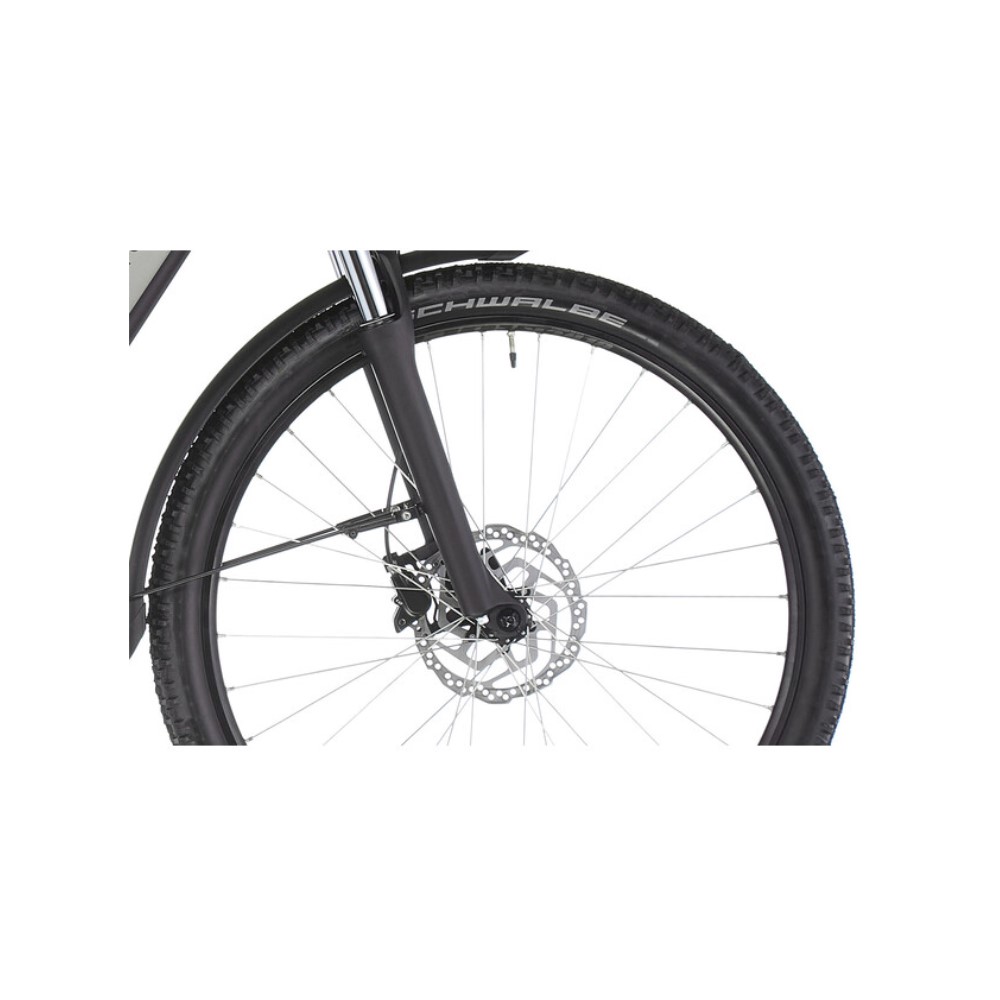 641527301 Entice Imm2