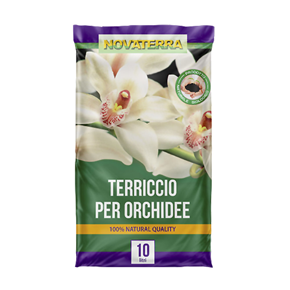 NOVATERRA -orchidee_