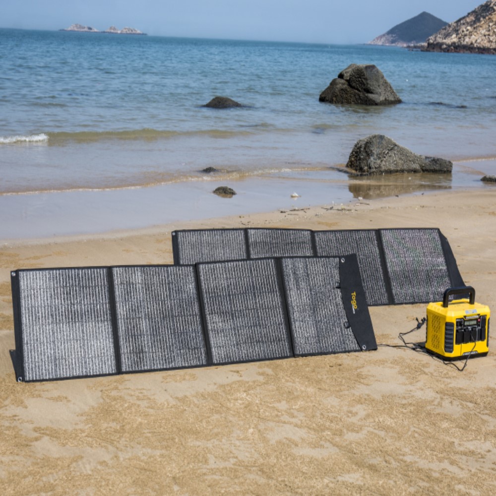 Panel Dimostrativo Mare II